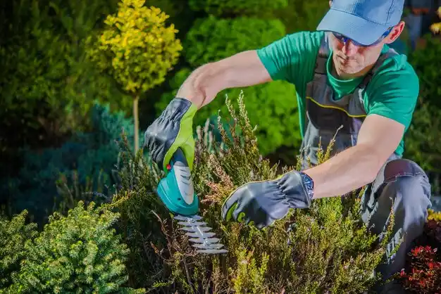 landscaping services Leeton